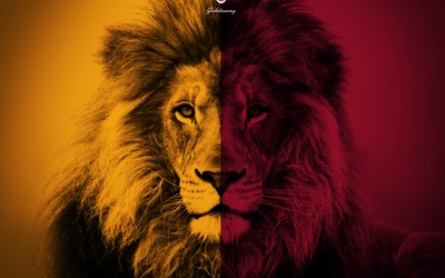 ROR电竞动态-不冷静